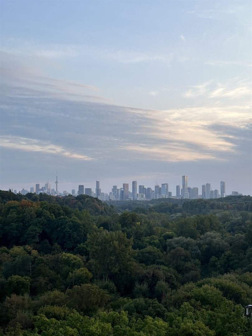 City beyond the forest
