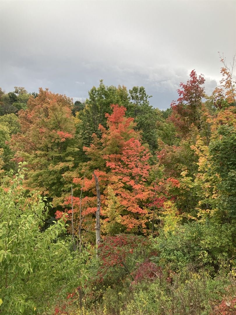 Autumn
